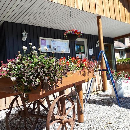 Bollingso Camping Engesvang Zewnętrze zdjęcie