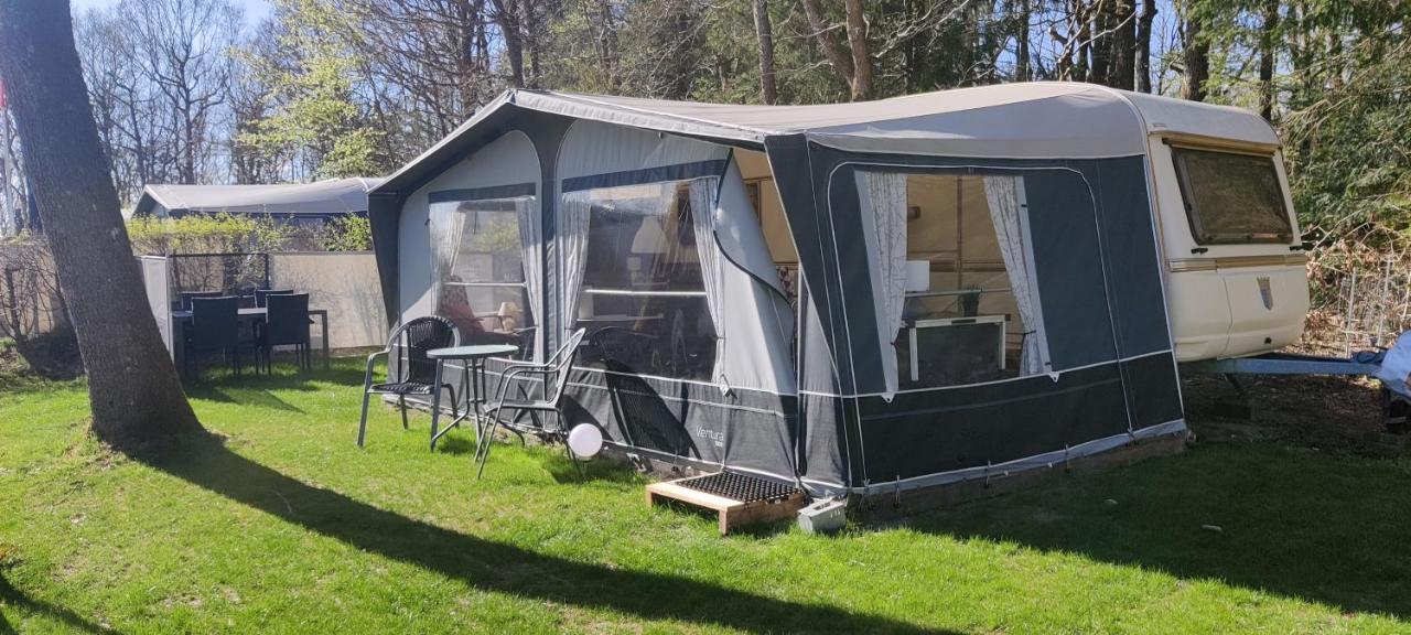 Bollingso Camping Engesvang Zewnętrze zdjęcie